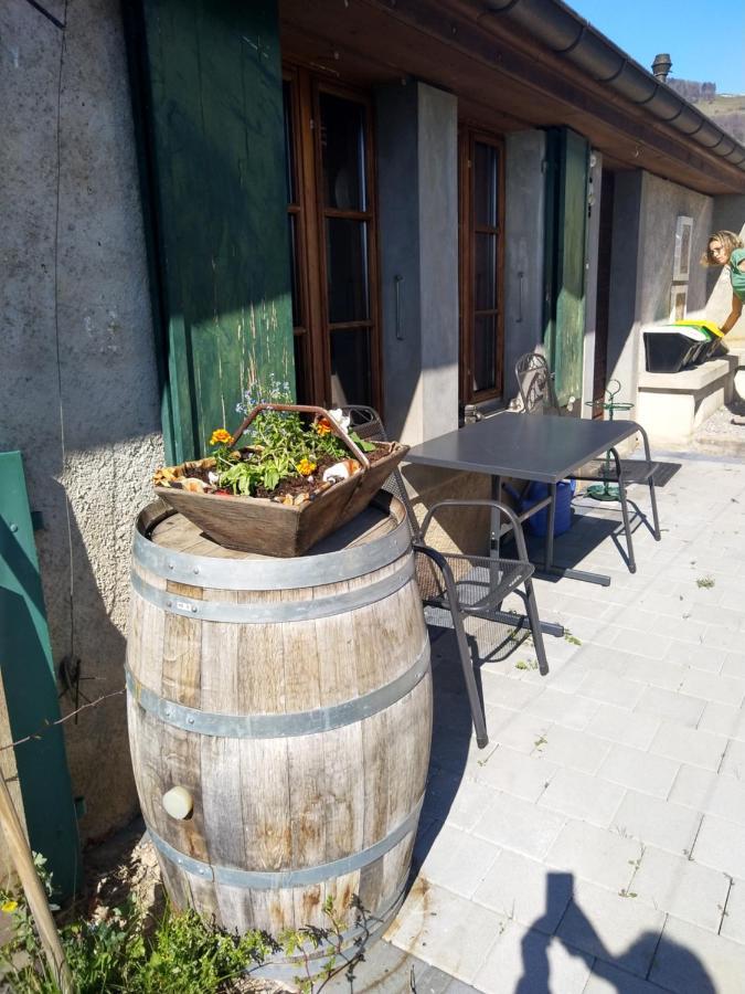 Charmante Maison Au Coeur Du Lavaux, Cully, Cuisine, Wifi, Les Echalas Exterior photo